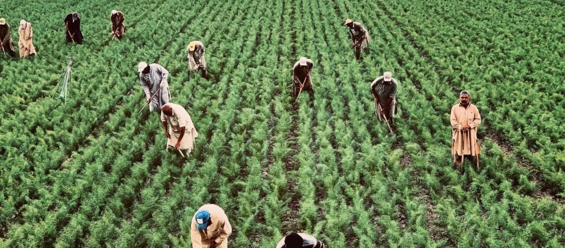 agriculture - BecomeACanadian